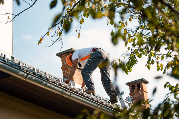 Best Flat Roof Repair Services  in Bohners Lake, WI