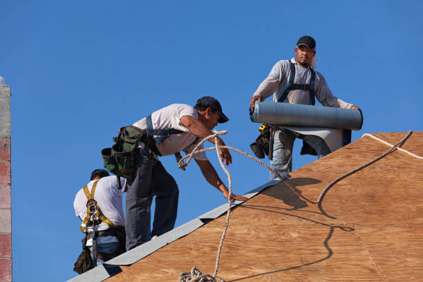 Best New Roof Installation  in Bohners Lake, WI